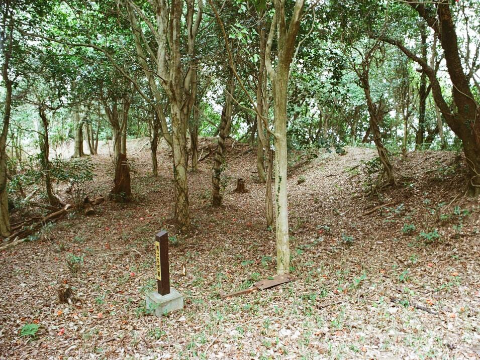 白巣城