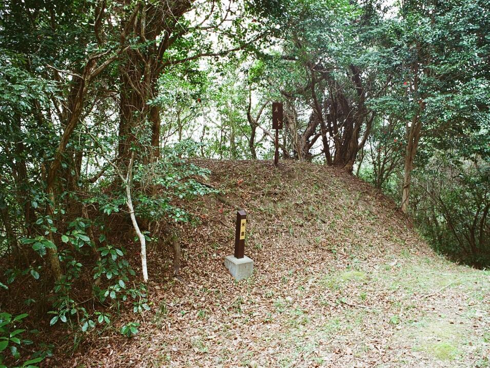 白巣城