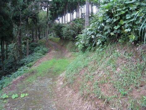 松根城