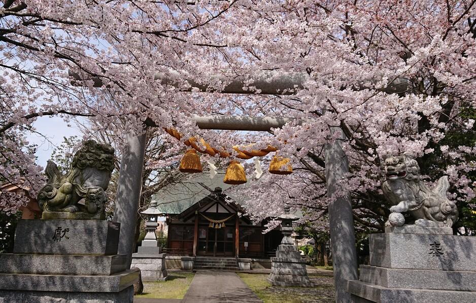 豊田城