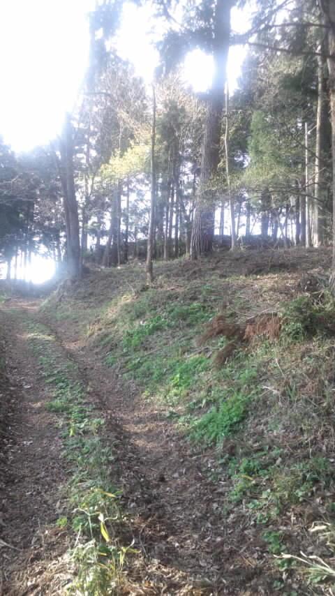 日戸館