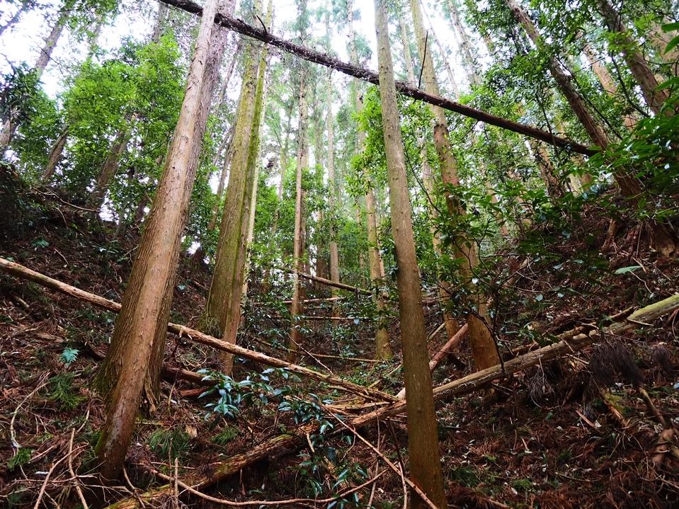 佐久山城