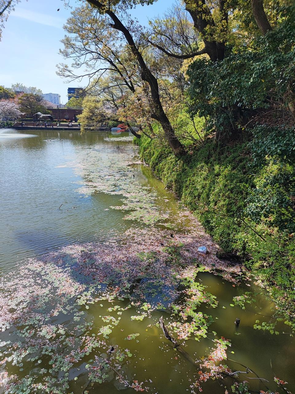 茶臼山陣城