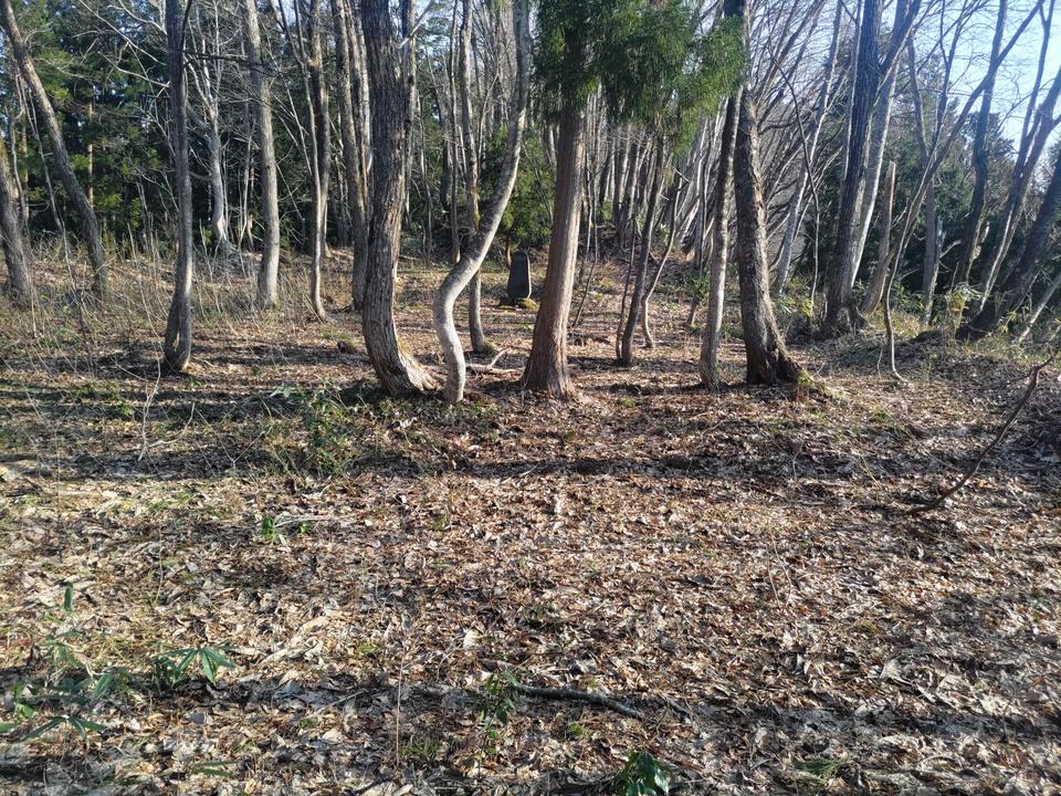 沼平館
