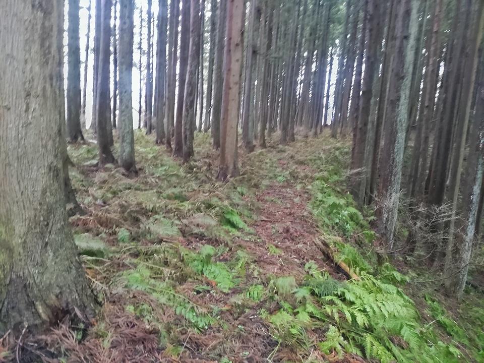 小国城