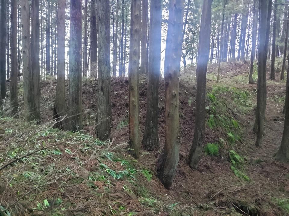 小国城