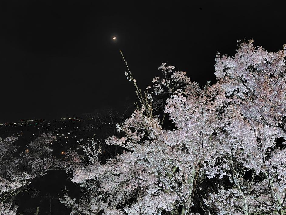 高遠城