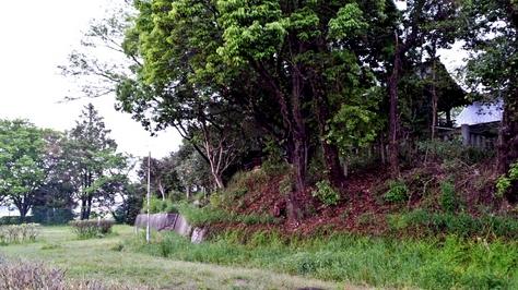 上野上村城