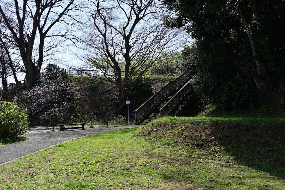 丸山城