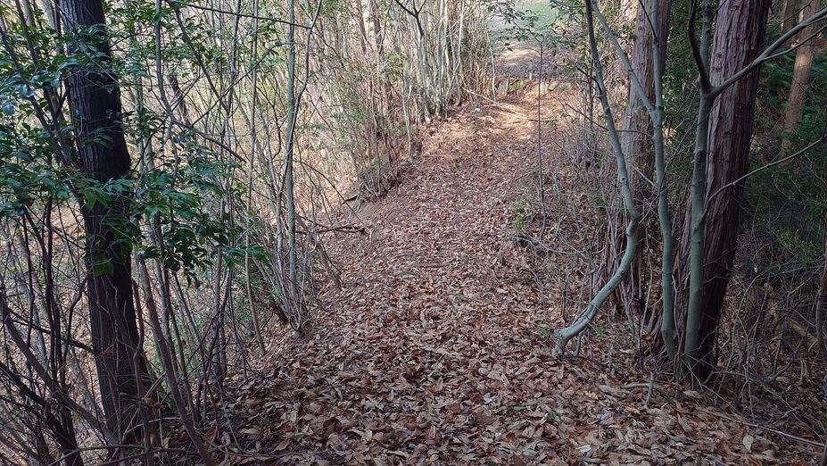 造田城
