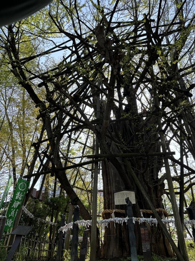 河崎氏館