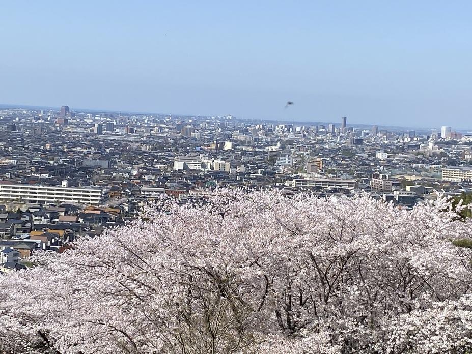 高尾城