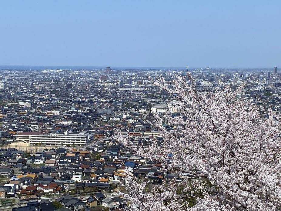 高尾城