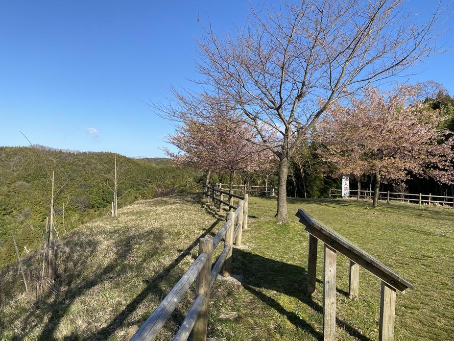 高尾城