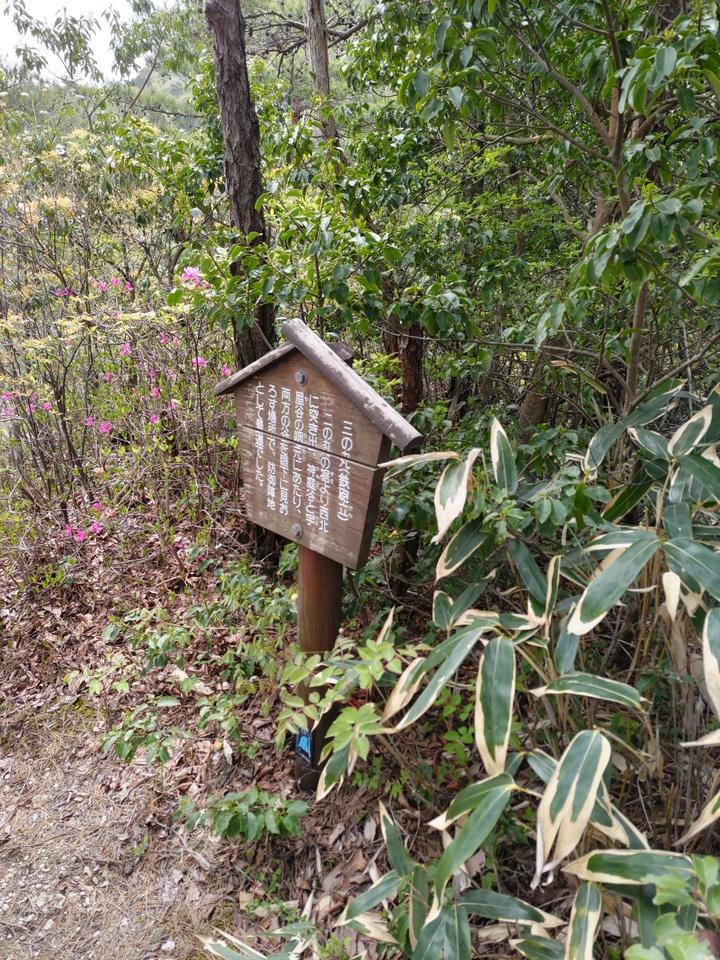 高瀬城