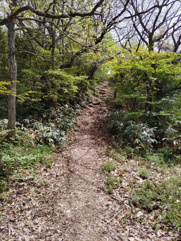 高瀬城