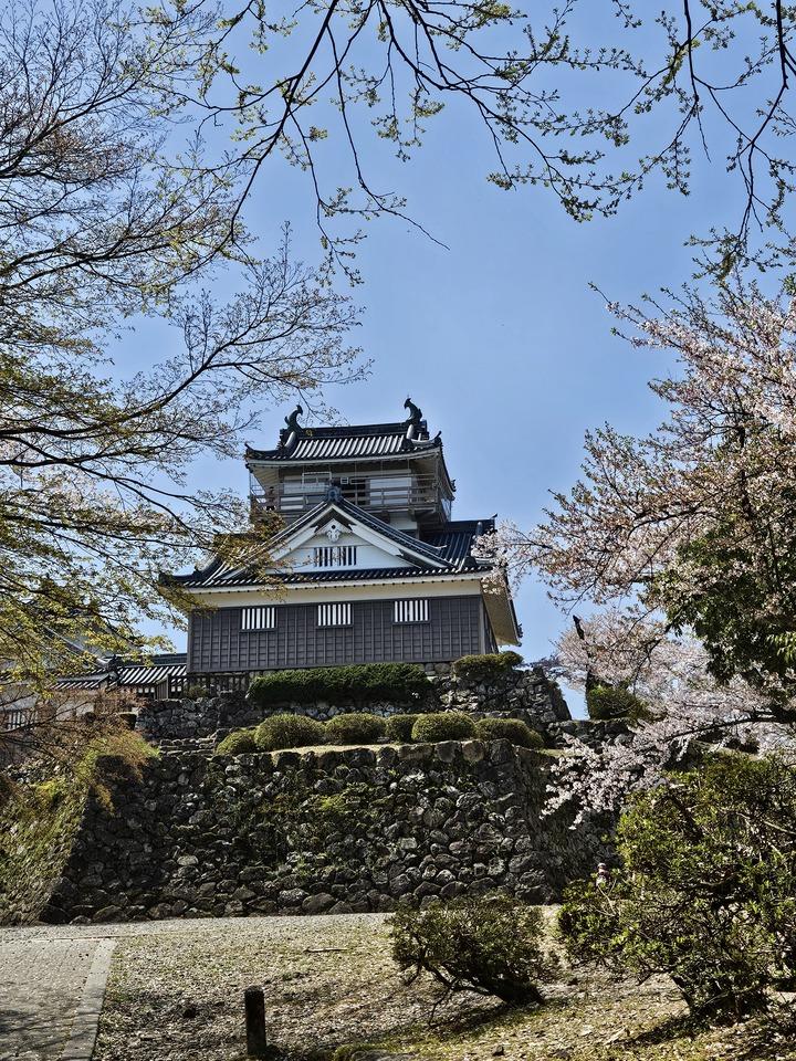 越前大野城