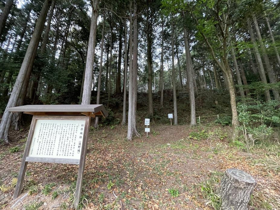 柏原城