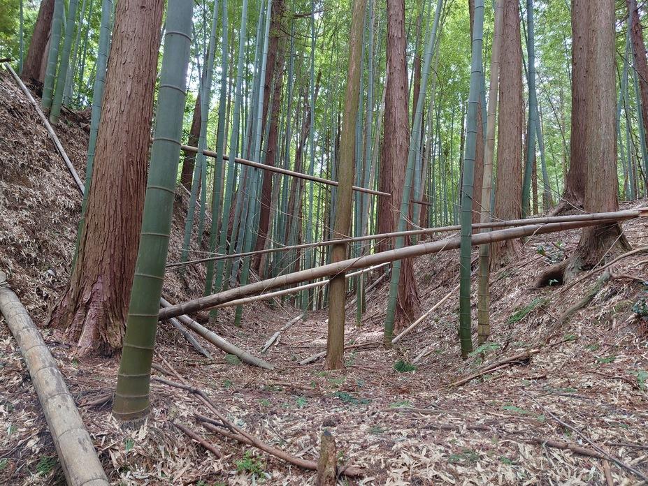 望月城