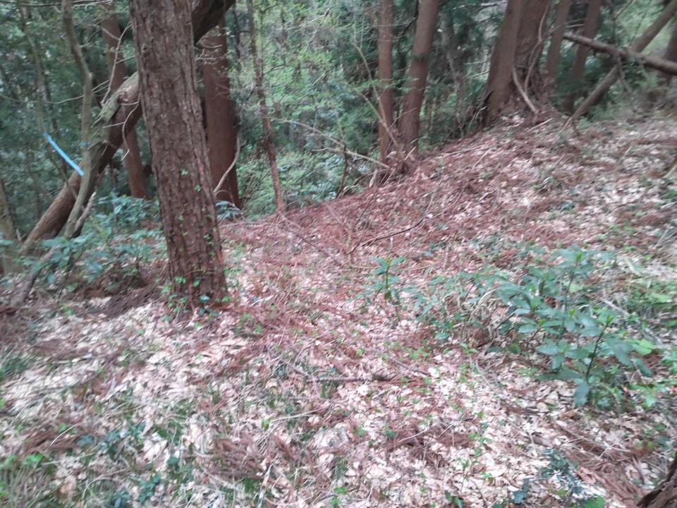 宮崎城
