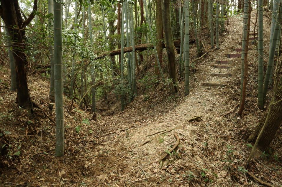 佐治城