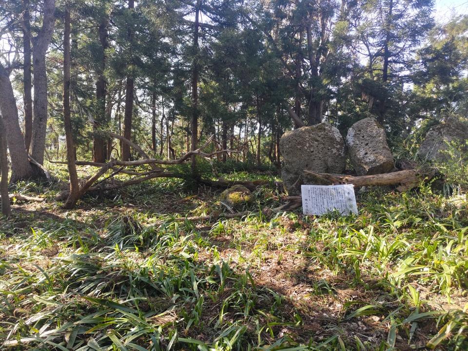 楯岡城