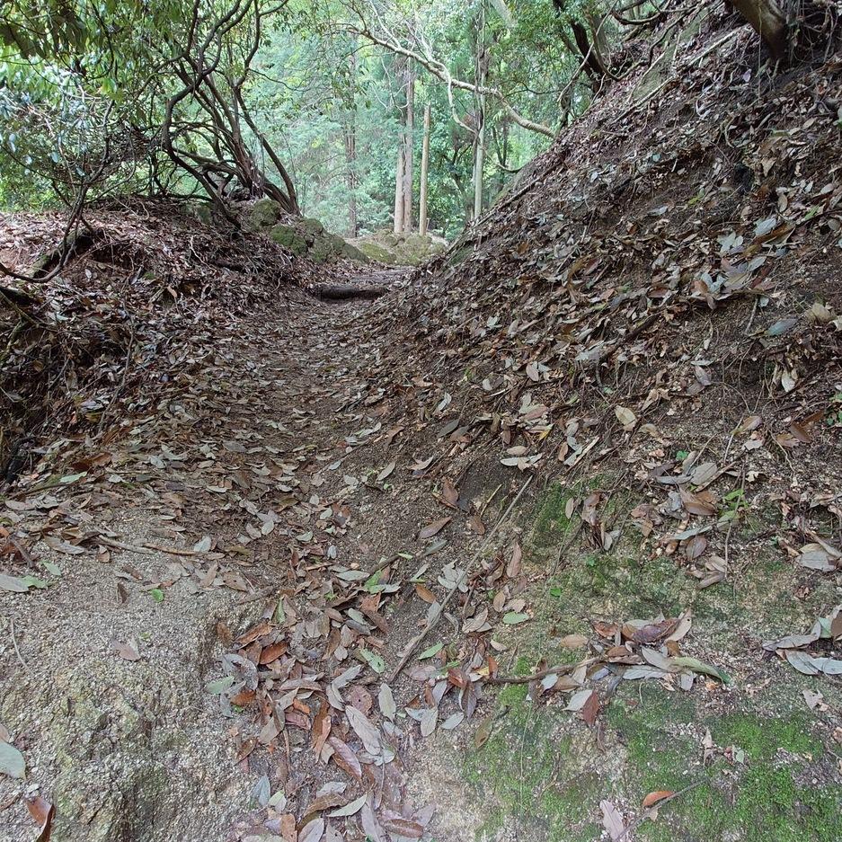 中尾城