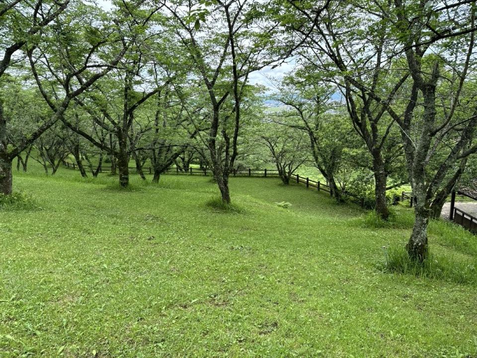 樺山城