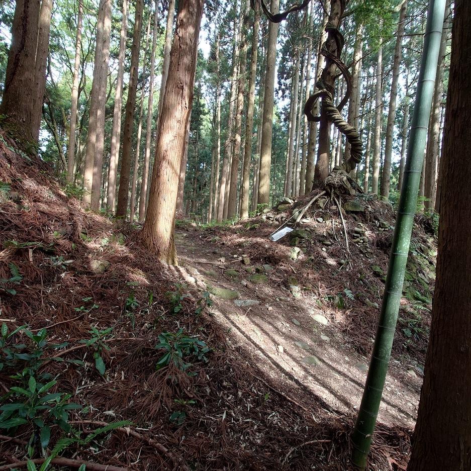 舟岡山城