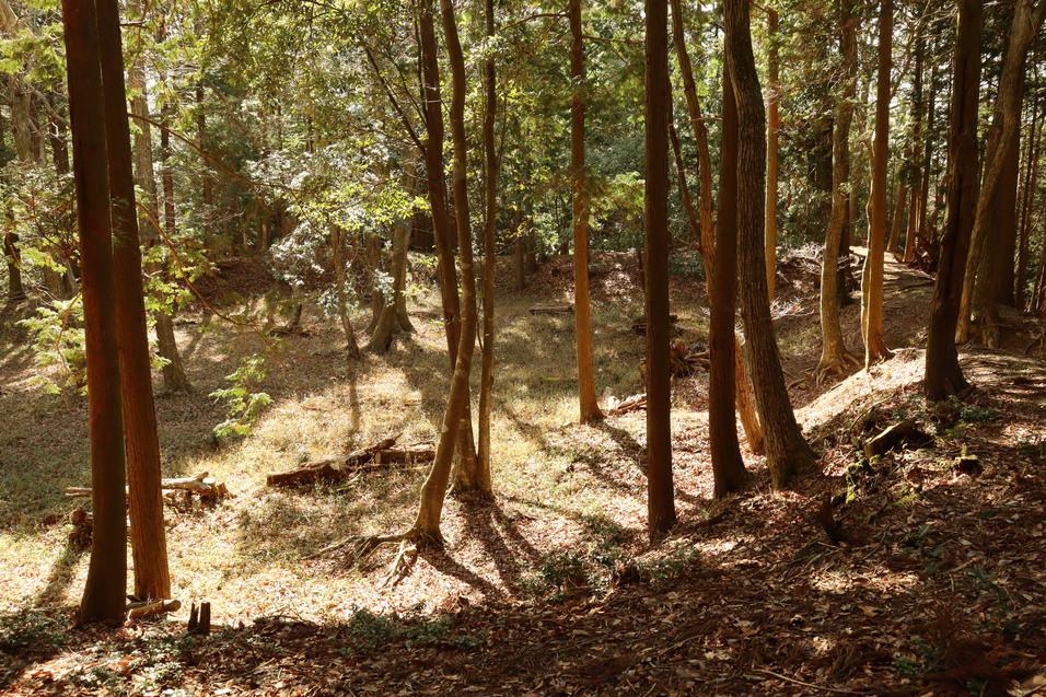 土山城