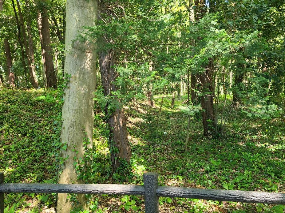 深見城