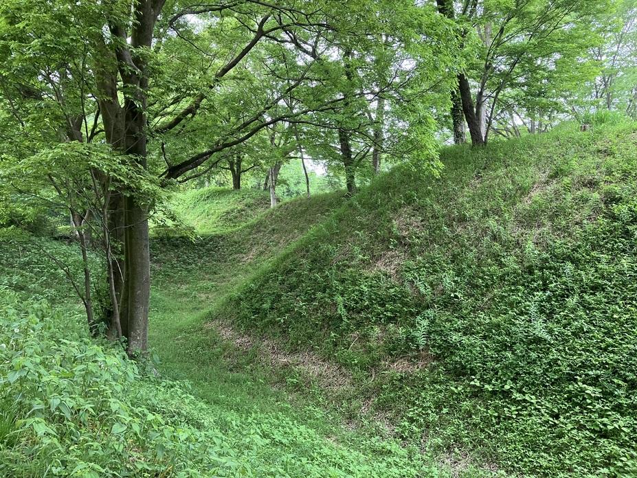 菅谷館