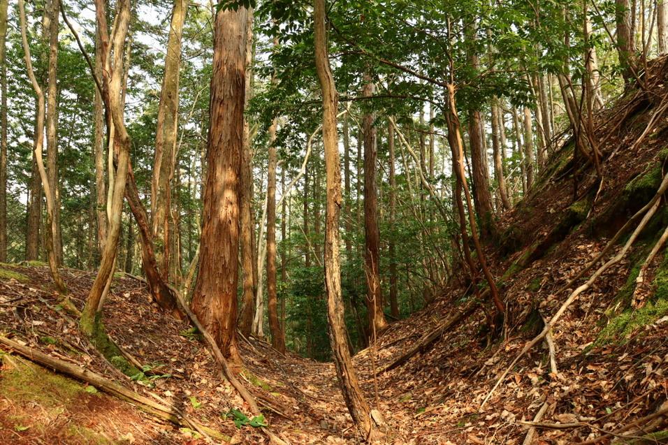 小畑城