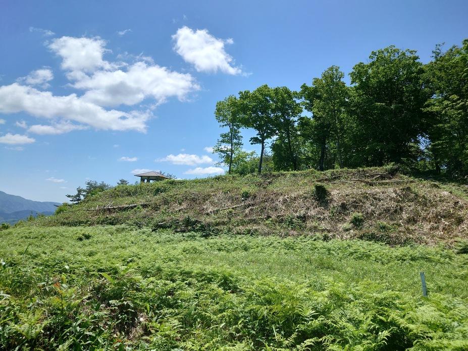 丸山城