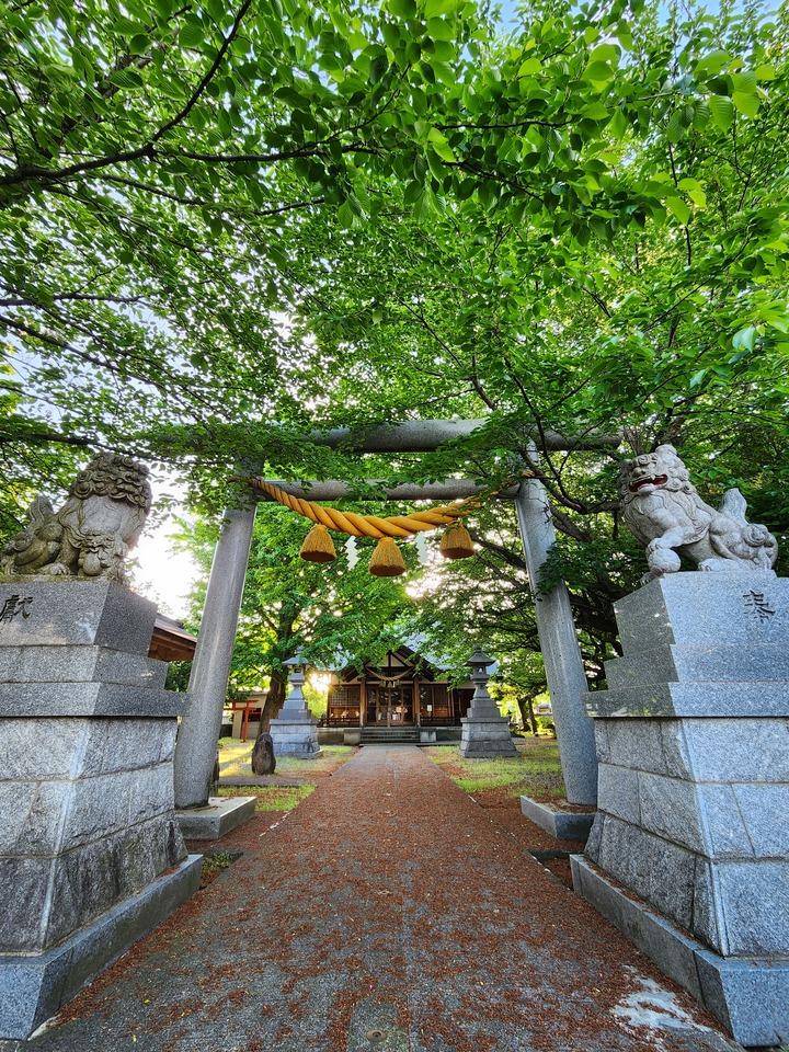 豊田城