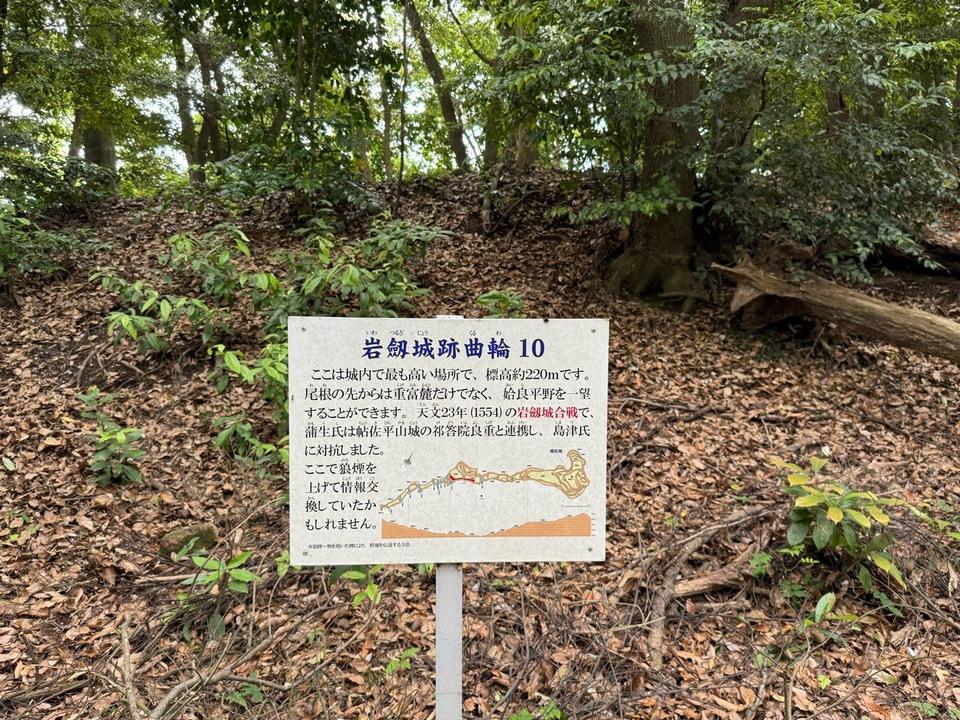 岩剣城
