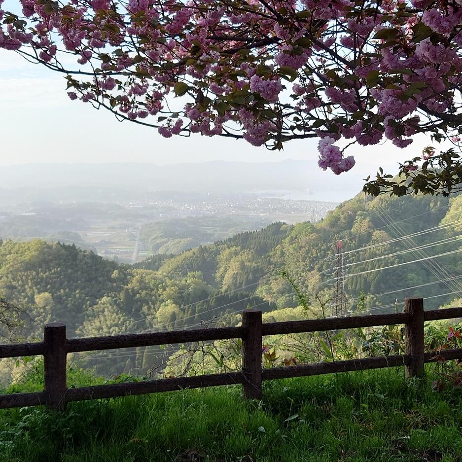 守山城