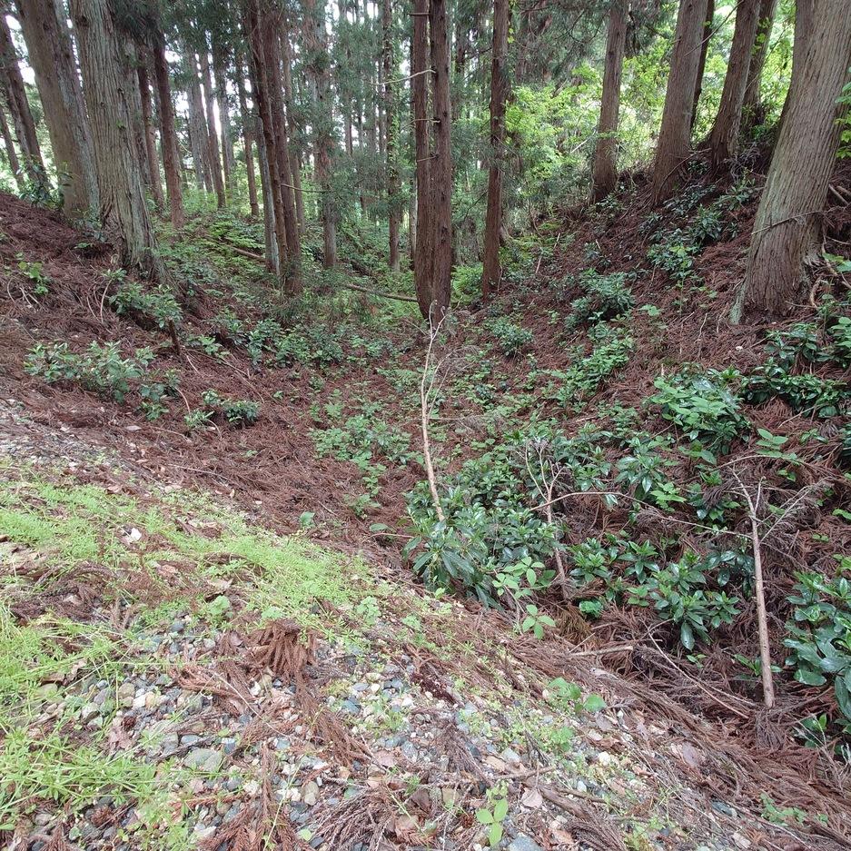 陣が峯城