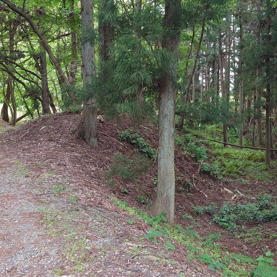 陣が峯城