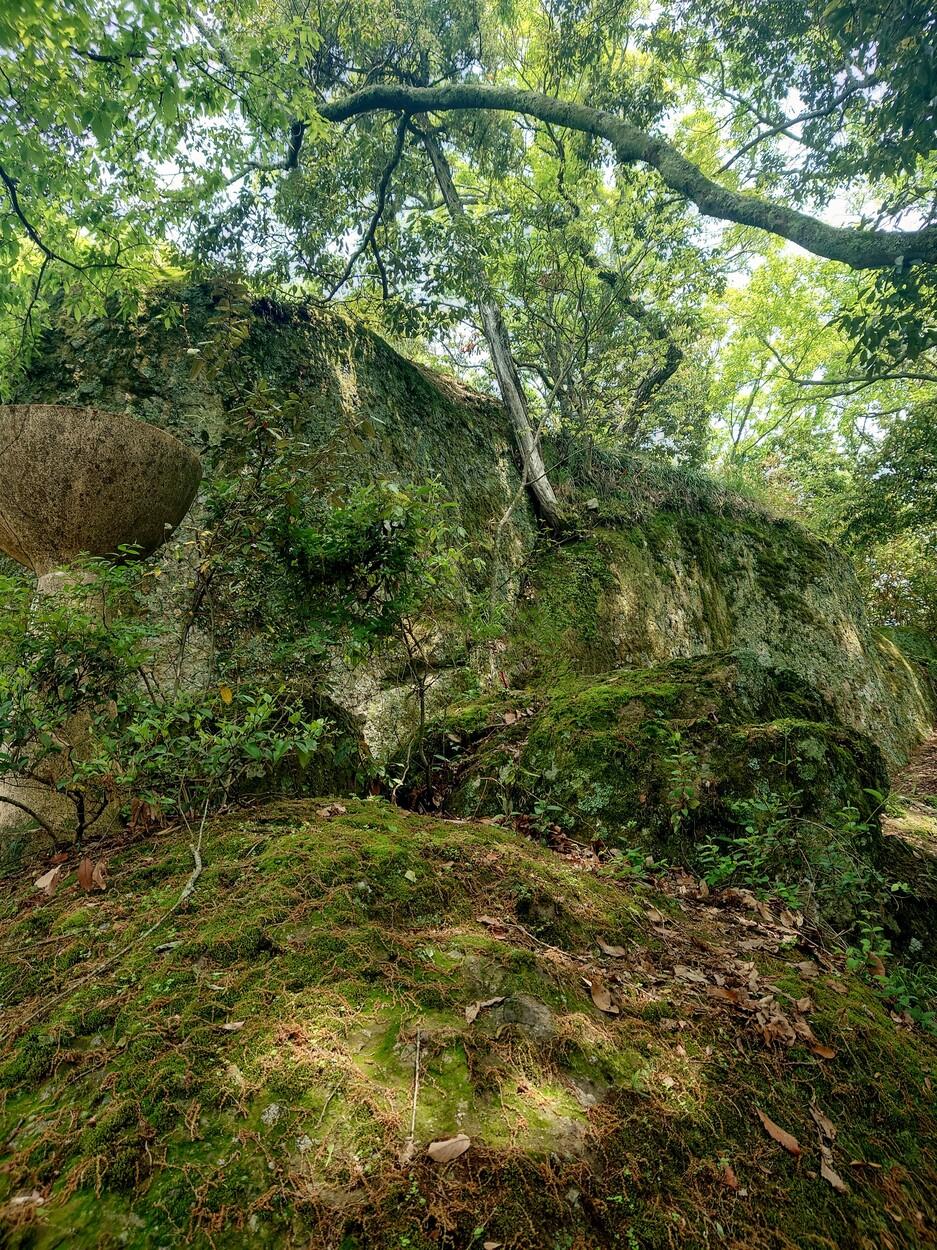 横山城