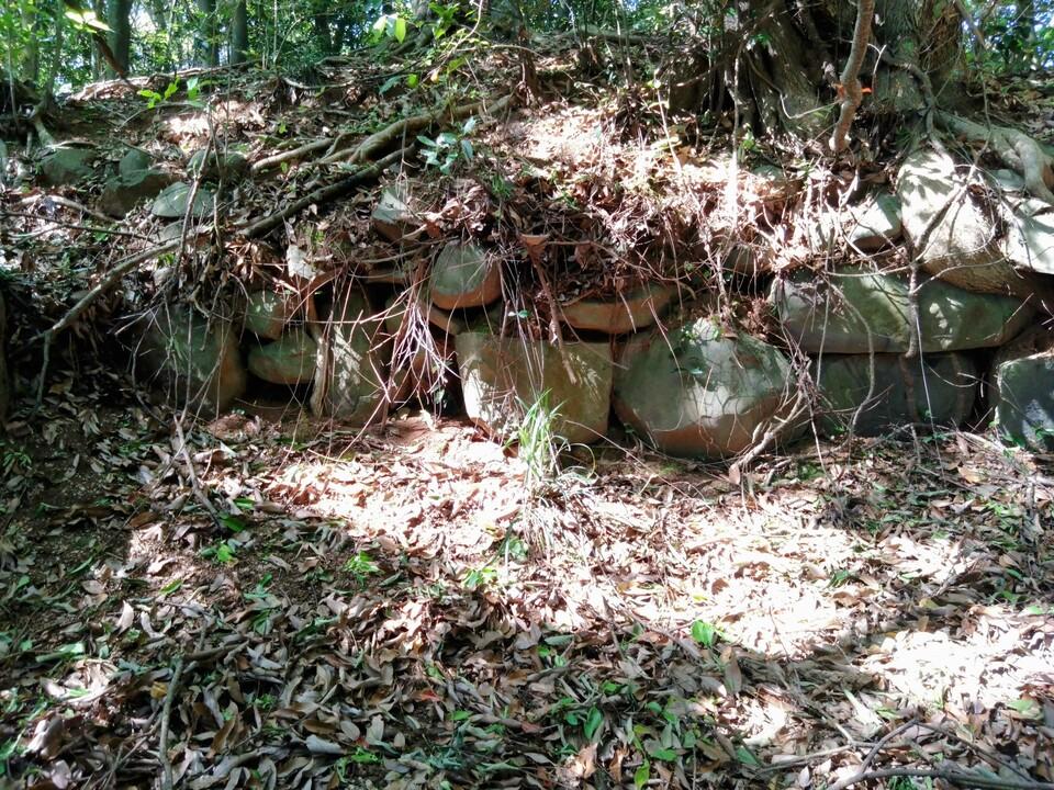 伊賀峰城
