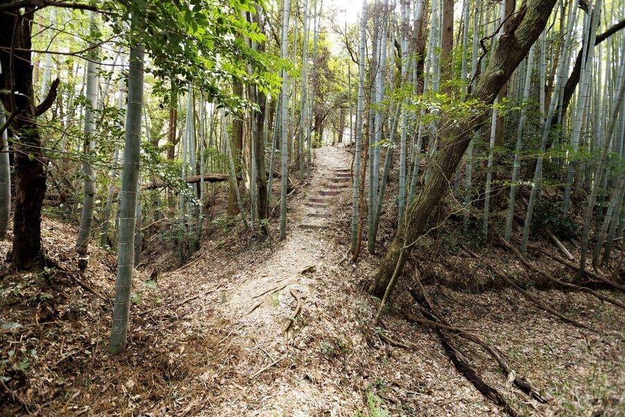 佐治城