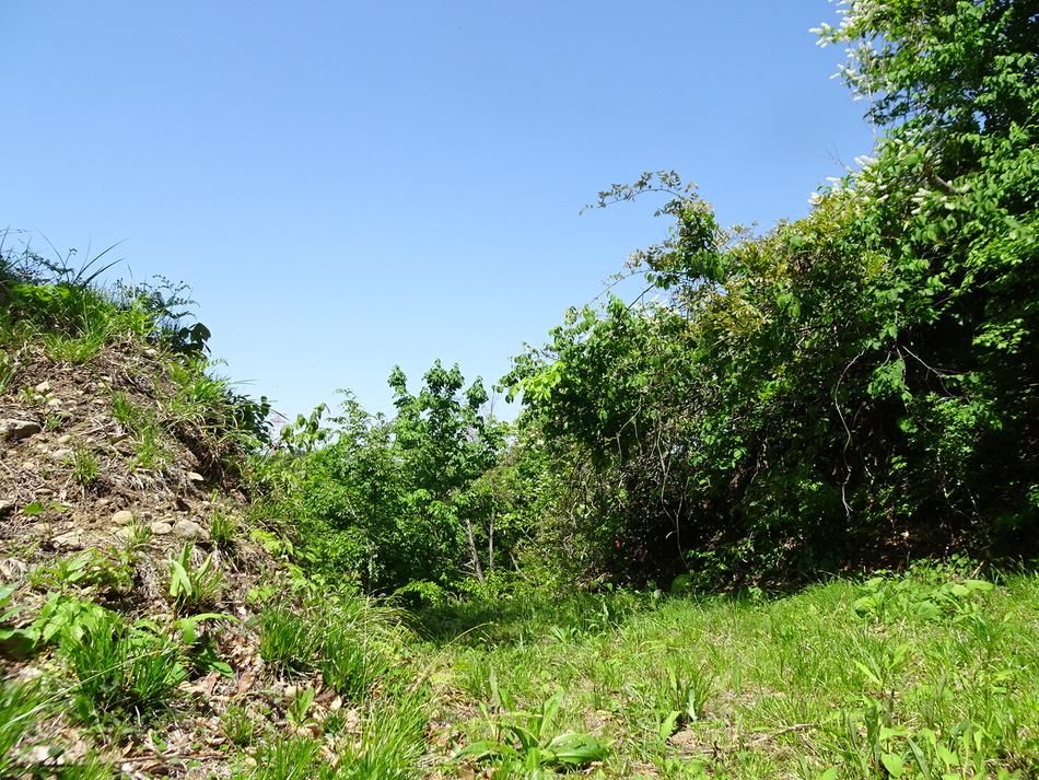大井田城