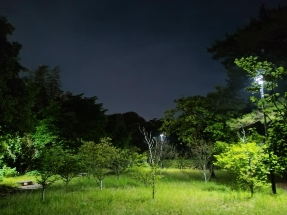 二連木城