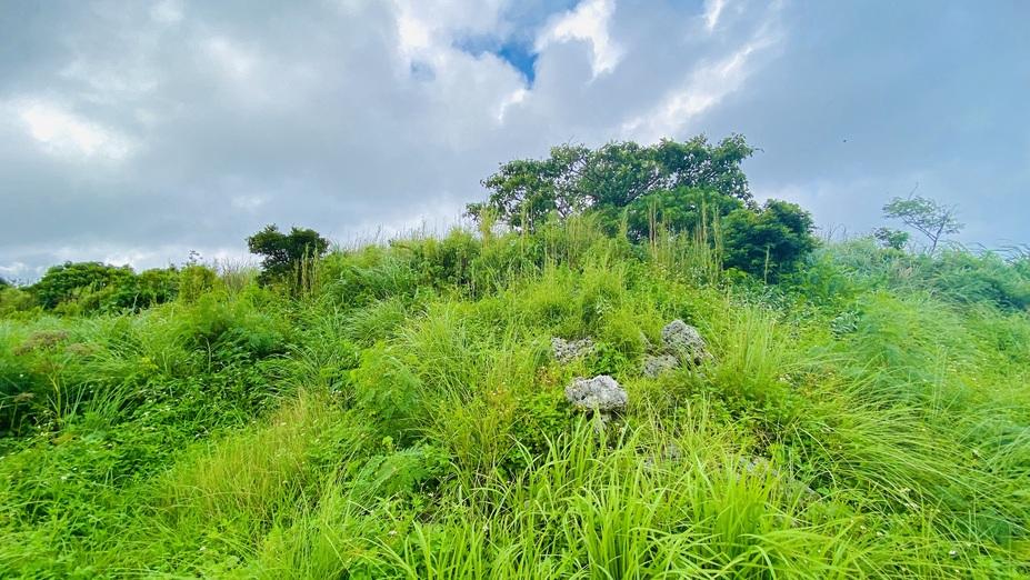 高腰城