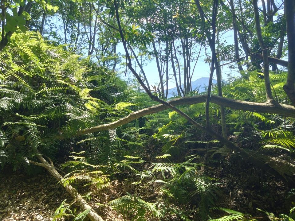 一ノ瀬城
