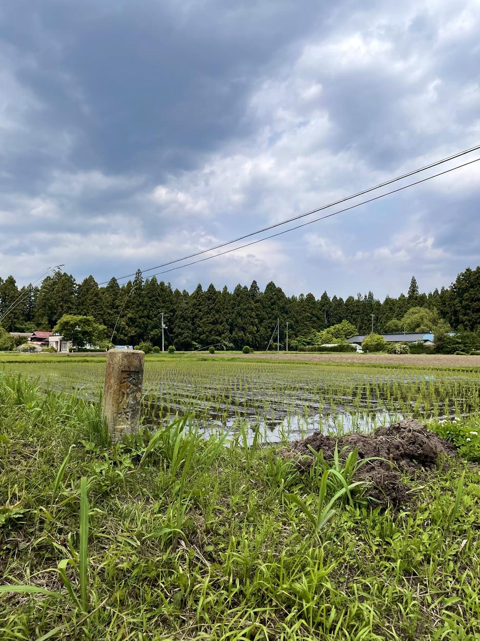 衣川柵