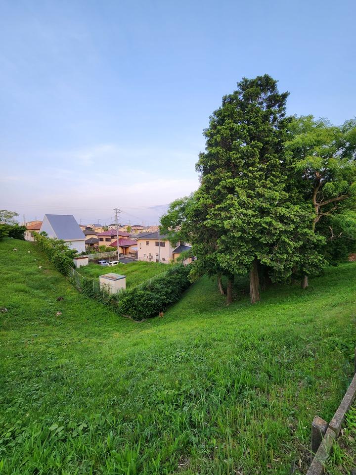 城之崎城