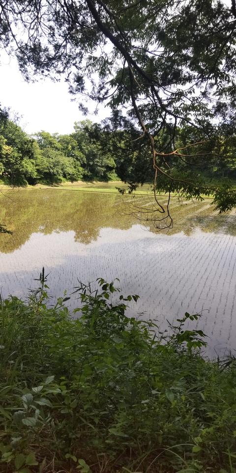神田城