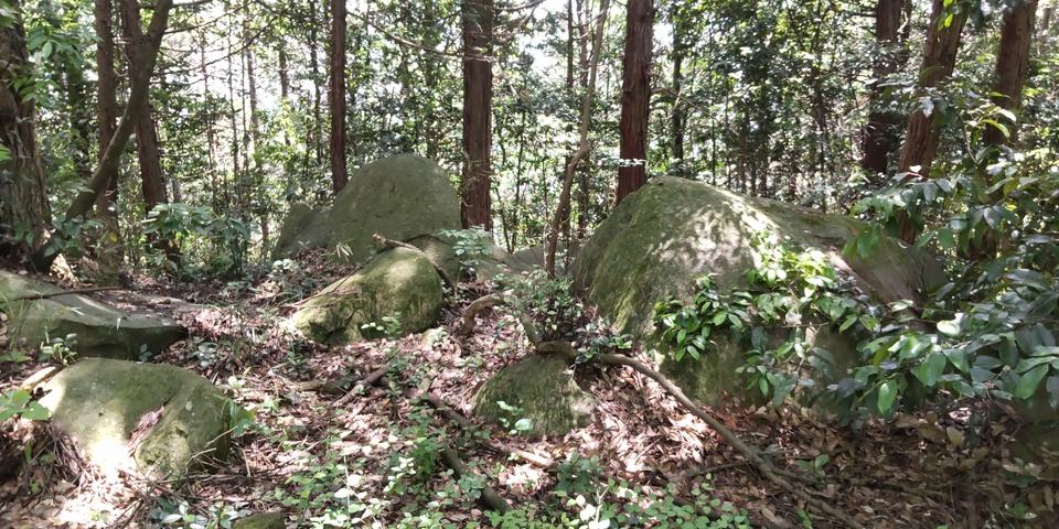 西明寺城